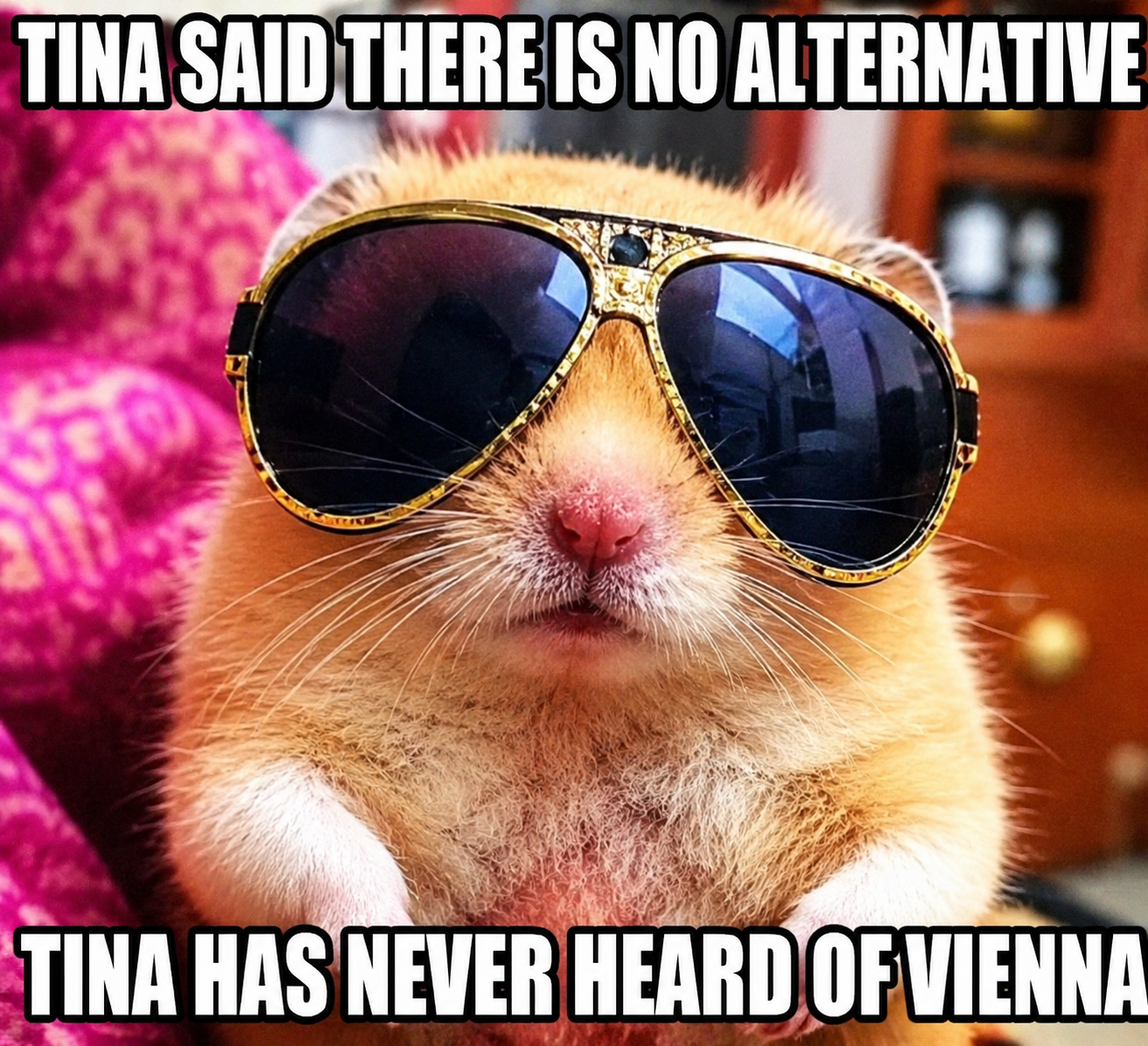 Hamster with sunglasses: TINA said there is no alternative. TINA has never heard of Vienna.